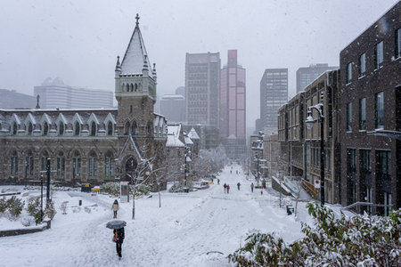 Montreal, Canada - 16 November 2022: Mc Tavish Street and Morrice Hall during snow stormのeditorial素材