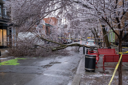 Montreal, CANADA - 5 April 2023: The freezing rain storm has damaged a tree