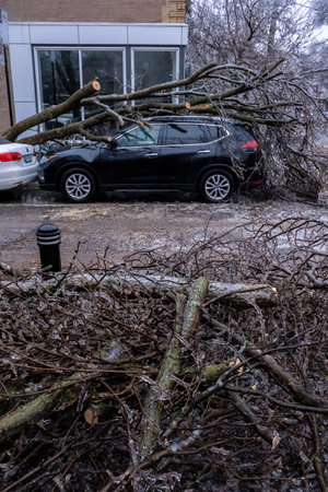 Montreal, CANADA - 5 April 2023: car under broken icy tree after freezing rain