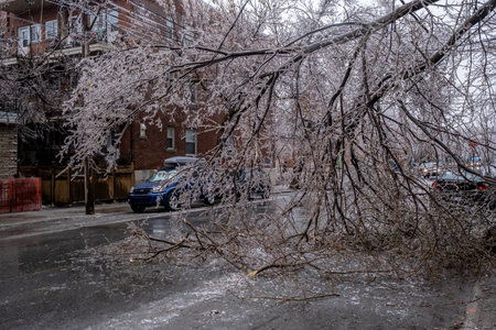 Montreal, CANADA - 5 April 2023: The freezing rain storm has damaged a tree