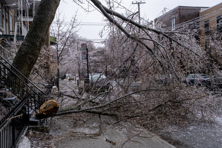 Montreal, CANADA - 5 April 2023: The freezing rain storm has damaged a tree