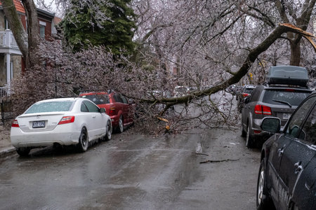 Montreal, CANADA - 5 April 2023: car under broken icy tree after freezing rainのeditorial素材