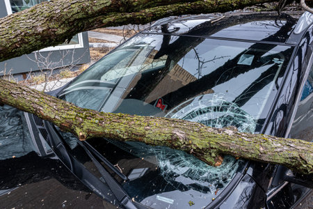 Montreal, CANADA - 6 April 2023: The freezing rain storm broke a tree that fell on a car windshieldのeditorial素材