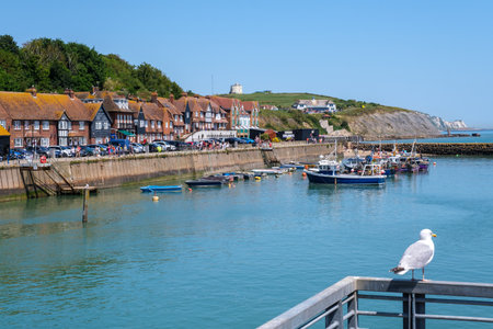Folkestone, UK - 9 July 2023: Red brick rowhouses on the harborfront of Folkestoneのeditorial素材