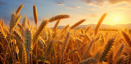 Close-up of wheat ears against a wheat field at sunset - Generative AIの素材