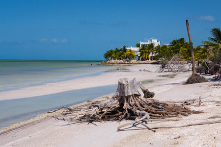 A scenic view of a beach in Holbox, featuring white sand and the ocean under a clear skyの写真素材