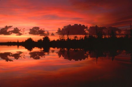 AlpenGlow ovr the Mangroveの写真素材