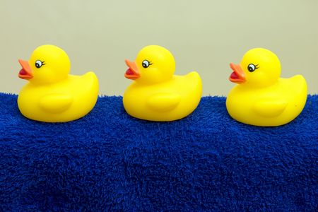bath ducksの写真素材