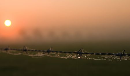 barbed wire with spiderweb in the sunriseの写真素材