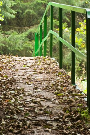 green bridgeの写真素材