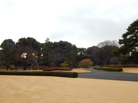 The garden is located in Tokyo, Japan.の写真素材
