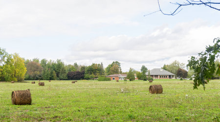 hay bale on lawn green grass rural area house autumn colors hazy day cloud overcast