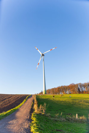 tall wind turbine at the edge of a forest and grass fields with cows and a small road leading up to itの写真素材
