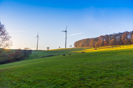 landscape cows grazing and eating grass on field hill edge of forest and two tall wind turbines to produce clean alternative renewable engergy sun setting on horizonの写真素材