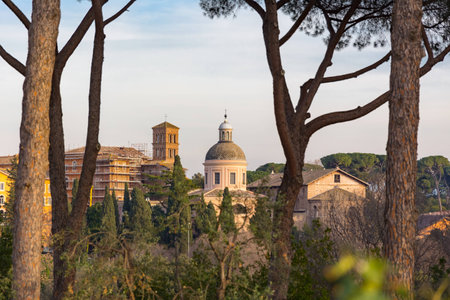 view on beautiful church and tower and buildings through umbrella pine treesの写真素材
