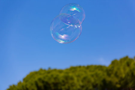 two soap bubbles sticking together connected flying in blue cloudless sky over green trees in the backgroundの写真素材