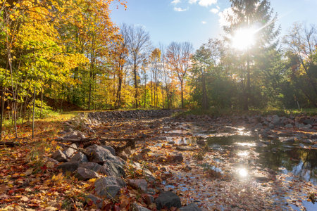 landscape in a park with trees leaves of changing colors and stones by a water pond riverの写真素材