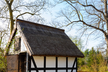 small house and hut with thatched roof near forestの写真素材