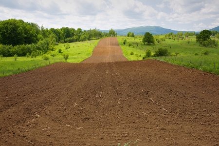 Fields and meadows