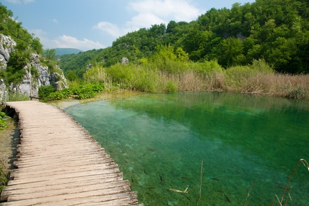 Boardwalk at the lakeの写真素材