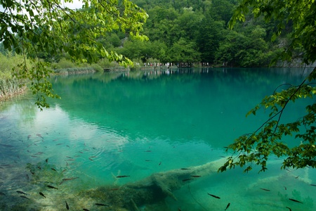Spring Lakeの写真素材