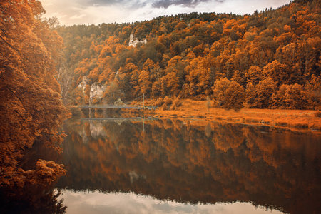 Autumn fall colors by the river and a tree forest water sun lightの写真素材