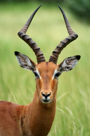 What you looking atの写真素材