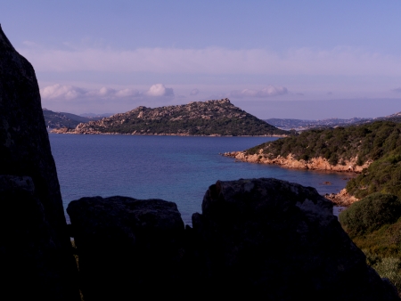  island of Caprera palm harbor の写真素材