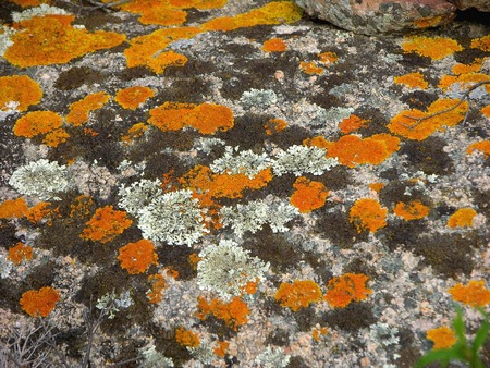 wild landscapeの写真素材