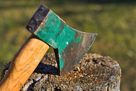 Ax in woodの写真素材