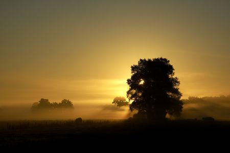 beautiful september morning with fog in hollandの写真素材