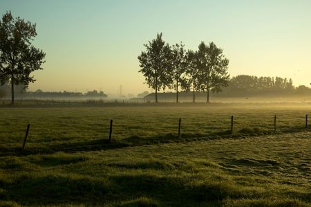 september morning in hollandの写真素材