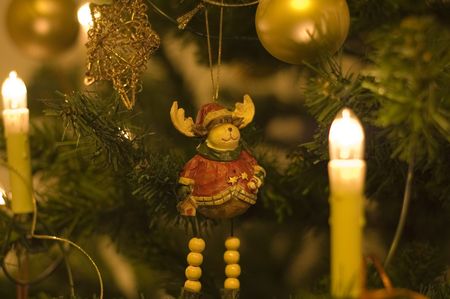 reindeer in a christmas treeの写真素材