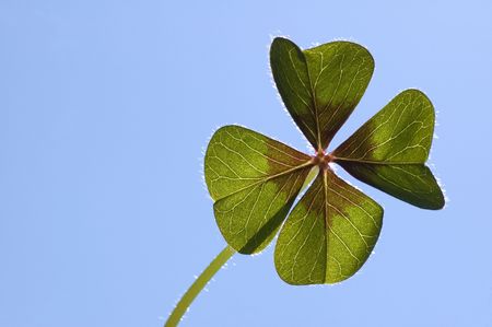 Four leaf clover on a blue background with the sun coming from behind