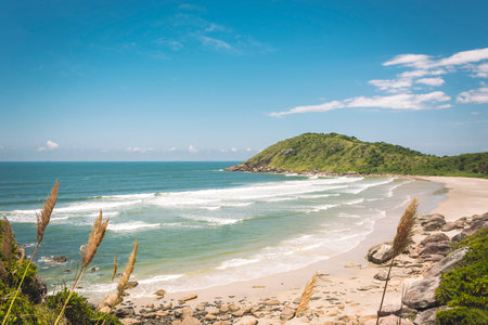 Beach located in the south of Brazil in a place called Ilha do Mel.の写真素材