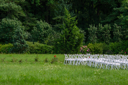 White chairs arranged in rows are set up on a grassy area surrounded by lush greenery, suggesting preparation for an outdoor event in the forestの写真素材