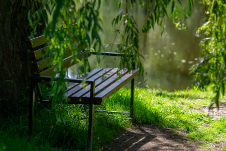 Wooden bench with metal frame situated near a lake, partially shaded by a large tree. Surrounding greenery includes lush grass and hanging willow branchesの写真素材