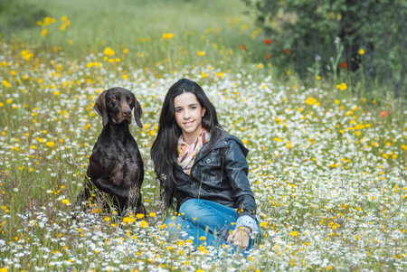 Young girl sittin in flower field together with German Pointerの写真素材