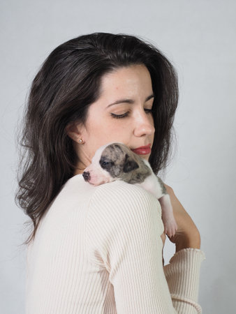 Young girl with a puppy of the whippet purebred dog on her shoulders