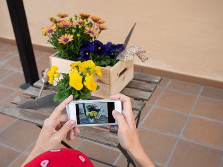 Young woman gardening at home taking photo with mobil to flowers on the tableの写真素材