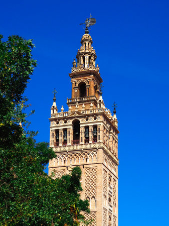 Panoramic view of the Giralda of Seville from the Patio de Banderasの写真素材