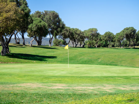 View of golf course with green grass and forest with beautiful putting green with rich green landscapeの写真素材
