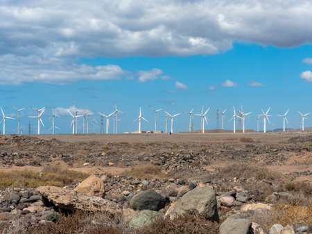 Wind farm with turbine fans as a renewable energy alternative