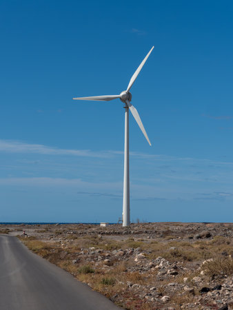 Wind farm with turbine fans as a renewable energy alternative