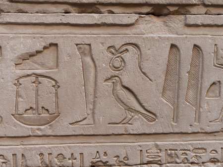Egyptian hieroglyphic engravings on the stone walls of the temple of the God Horus in Edfu Egyptの写真素材