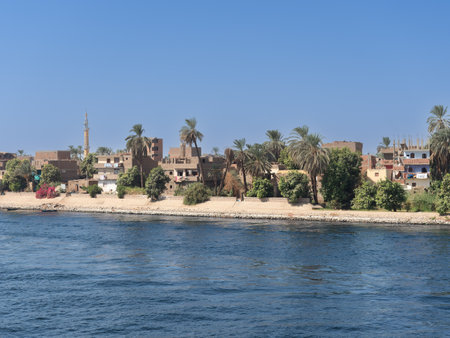 View of a rural image of the rich margin of the great river Nile in Egyptの写真素材