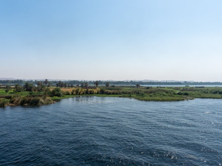 View of a rural image of the rich margin of the great river Nile in Egyptの写真素材