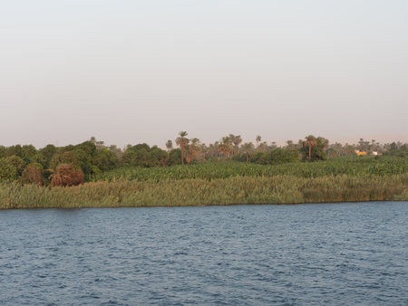 View of a rural image of the rich margin of the great river Nile in Egyptの写真素材
