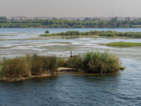 View of a rural image of the rich margin of the great river Nile in Egyptの写真素材