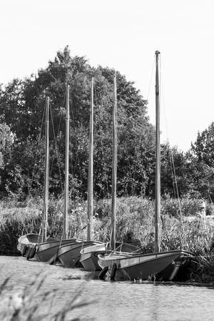 four sailing boats on rowの写真素材